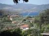 lesbos-irini-studios-1