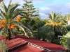 gardenparadisos