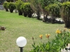 grcka-rodos-kolimbia-hoteli-mistral-40