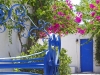 kos-hoteli-palm-beach-10
