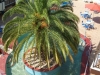 polihrono-hotel-panorama-1-6