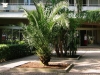 budva-hotel-park-1