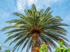 grcka-halkidiki-kasandra-glarokavos-hoteli-port-marina-63