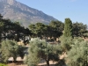 hotel-sempati-kirenija-13
