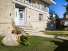 villa-elena-in-lassi-22