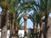 kos-hoteli-kipriotis-hippockrates-maris-30