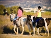 kos-hoteli-kipriotis-hippockrates-maris-33