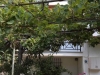 IMG_0500-550x550