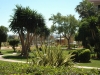 majorka-hotel-helios-15