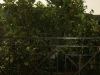 panos-4