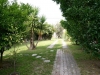 pefkohori-filipu-1-apartmani-5