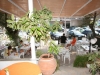 pefkohori-kassandros-hotel-apartmani-5