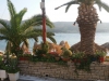 samos-bay-samos-13