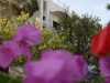 thalassa-studios-rodos-7