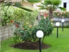 nea-vrasna-vila-angela-1-5