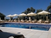 demiris_4