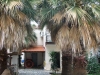 stavros-vila-evangelia-10
