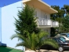 tasos-potos-vila-jorgos-1-9