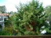 halkidiki-kasandra-skala-furka-vila-petalida-9
