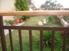 dsc04391