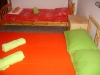 kuce_043