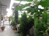 vila-stavros-6